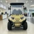 Import 72v/60v/48V Electric Golf Cart 2 4 Seater 5KW Motor Independent Suspension Disc Brake Utility Vehicle Golf Buggy from China