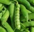 Import High Yield Sweat Peas Seeds Chinese Vegetable Seeds from China