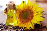 Pure Refined Canola Oil Rapeseed Oil for Sale Premium Edible Vegetable Oil 100% Purity Food Safe Long Shelf Life