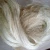 Import Best grade Sisal Fiber available for sale at very affordable price from United Kingdom