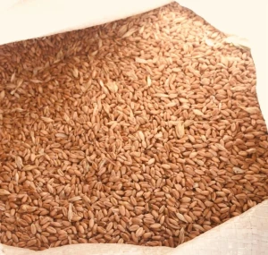 High Quality Wheat