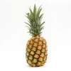100% Best High Premium Quality India Origin Fresh Pineapple