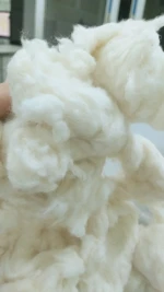 100% Cotton Comber Noil/ Raw Cotton/ Lickerin/ Flat Strips/Dropping