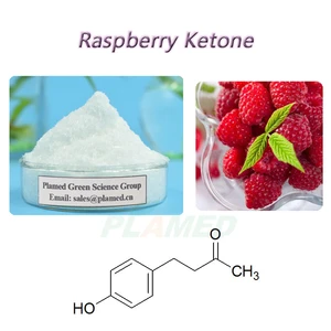 100% Natural Raspberry Extract Raspberry Ketone for Weight Loss