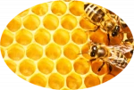 100% Natural Royal Jelly Powder , Hot sell Health Care Food , Wholesale price Royal Jelly