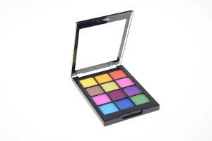 12 color square eye shadow private label make up