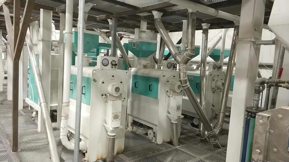 120TPD Lentil Peeling and Splitting Machine Built in Canada Export to Canada of Lentil Peeling Plant