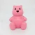 Import 12CM tall money saving box plastic bear coin bank with copyright from China