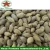 Import 2014 new crop high survive rate paulownia elongata seeds for sale from China