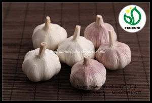 2018 Fresh Green Vegetable (Garlic, Ginger, Onion, Potato, Carrot)