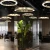 Import 2019 Modern Multiple LED Pendant Light  for Office / Restaurant  WF - L02- 60R from China