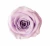 Import 2020 high quality sweet 100% material preserved rose head for wedding bouquet from China