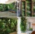 2020 Vertical hanging garden planters wall decor planting vegetable fruit herbs growing bags