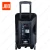 Import 2021 Amazon Big Power Hotselling Active Dj Disco RGB Light BT Trolley Wireless Speaker from China