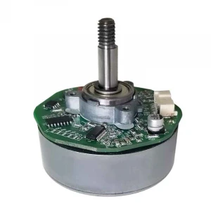 24V 250W Brushless DC Motor with Gearbox or BLDC Pump Motor Customizable