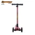 Import 3 wheel electric scooter in adult big wheel scooter from China