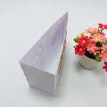 3D Medical embossed Wall Charts / Poster 3d desk poster