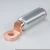 Import 50mm DTL-2 copper aluminum connecting cable lug electrical terminals from China