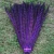 70-80cm dyed pheasant feather all color
