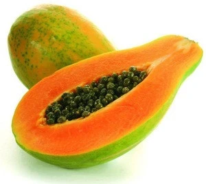 Agriculture Wholesale Fresh Papaya Fruit for sale in Fresh Papaya/ Red Papaya Fruits/Organic Papaya