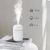 Import Air Humidifier 260ML with Colorful Night Lights Aroma Essential Oil Diffuser Home Spa Car Jobs Ultrasonic USB Fogger Mist Maker from China