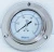 Import All stainless steel seismic pressure gauge YTHN-250 from China