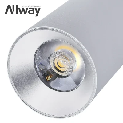 Allway Top Quality Suspended Focus Spot Light Lamp Track Light School Indoor 10W 20W 30W LED Spotlights