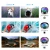 Import Amazon other mobile phone accessories wide angle macro fisheye CPL/ND/Star 6 in 1 multi functional fun filter camera lens kit from China