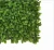 Import Artificial box hedge wall natural plant for garden yard decoration from China