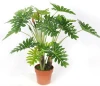 Artificial plant artificial philodendron
