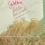 Import Basmati Rice Long-grain from India