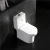 Import Bathroom Ceramic Dual Flush Closestool WC Toilet with Tank from China