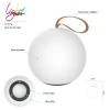 Berry 23 LED light Wireless modern home lighting party led /decorative led lights for home