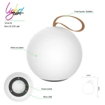 Berry 23 LED light Wireless modern home lighting party led /decorative led lights for home