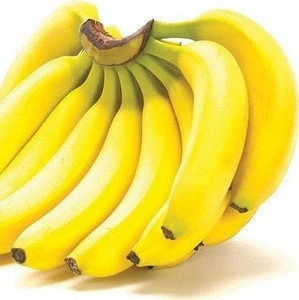 Best Quality Cavendish Banana