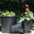 Import Big 5 gallon Black Plastic Plant Flower Nursery Pot from China
