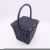 Import Black Painted Gift serving plastic ratan basket with Handle from China