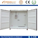 BTR series 20 feet refrieration container cold room