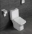 Import C1012 New Coming Sanitary Ware Western Toilet Design Two Piece WC Toilet Bowl For Hotel from China