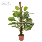 Calathea Orbifolia Ornamental Wholesale Artificial Potted Plants