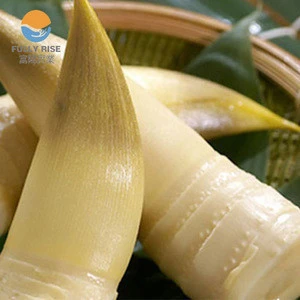 Canned bamboo shoot whole in brine canned vegetable wholesale