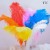 Import Carnival Costume Decoration Dyed Colorful Ostrich Feathers from China