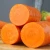 Import Carrot export from china farm natural fresh carrot from China
