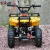 Import CE Proved 49CC 2 Stroke Single Cylinder Gasoline ATV from China