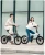 Import CE Xiaomi HIMO Z20 20Inch Folding Mini Size 36V250W 10Ah Lithium 25KM/h  Mileage 80KM LCD Pedal Assist  Electric Bicycle Bike from China