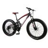cheap 24/26 inch 24/27 speed Double disc brake fat tire bicycles snow beaches mountain bikes