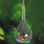 Import Cheap wholesale borosilicate glass hanging terrarium glass vase for plants and decoration accessories from China