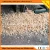 Import Cheap wood shavings machine for poultry bedding from China