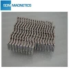 china neodymium arc magnet magnet rotor magnet with TS16949 Certificate