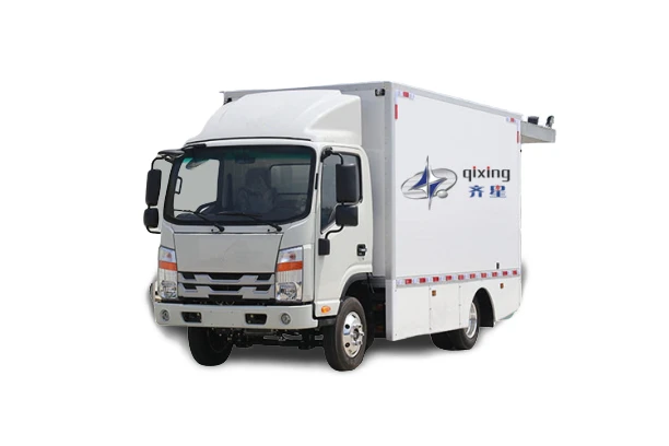 China Reliable Customized electric van electric cargo manufacturer for truck